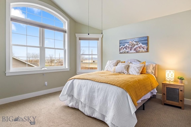 754 Milestone Dr, Belgrade, MT 59714 - bedroom with carpet, baseboards, and lofted ceiling