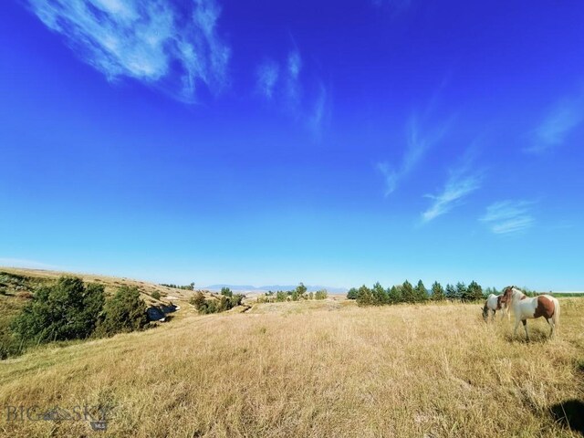 view of undeveloped land with rural landscape
