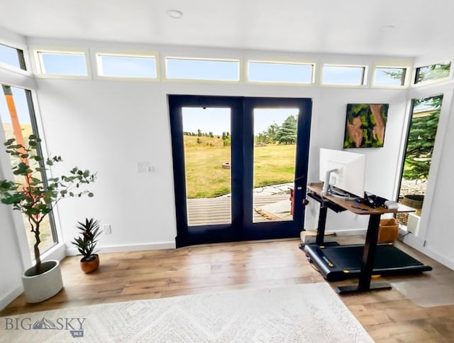entryway with wood finished floors, baseboards, and french doors