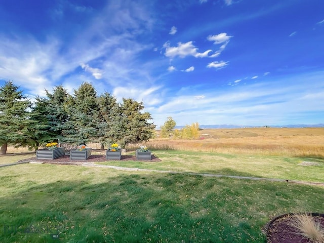 view of green lawn with a rural view