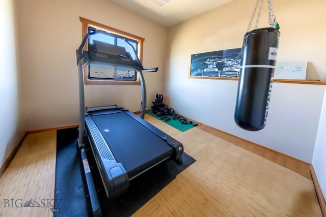 exercise room featuring wood finished floors