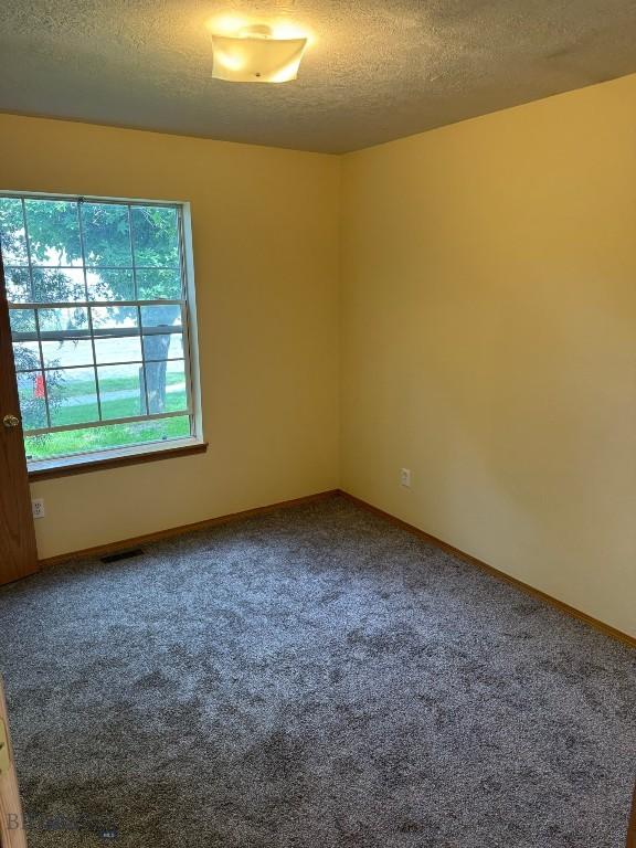 303 Treasure, Bozeman, MT 59718 - photo 14