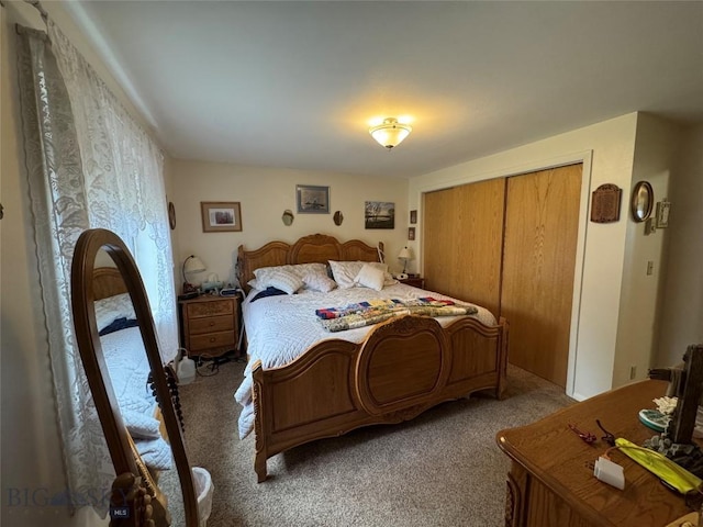 105 Country Club Ln, Butte, MT 59701 - bedroom featuring light carpet and a closet