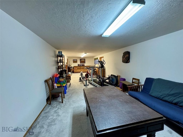 105 Country Club Ln, Butte, MT 59701 - carpeted living room with a textured ceiling