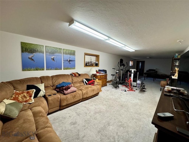 105 Country Club Ln, Butte, MT 59701 - living room featuring light carpet and a textured ceiling