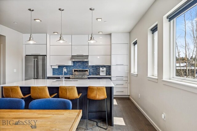 kitchen with stainless steel appliances, modern cabinets, under cabinet range hood, and a sink