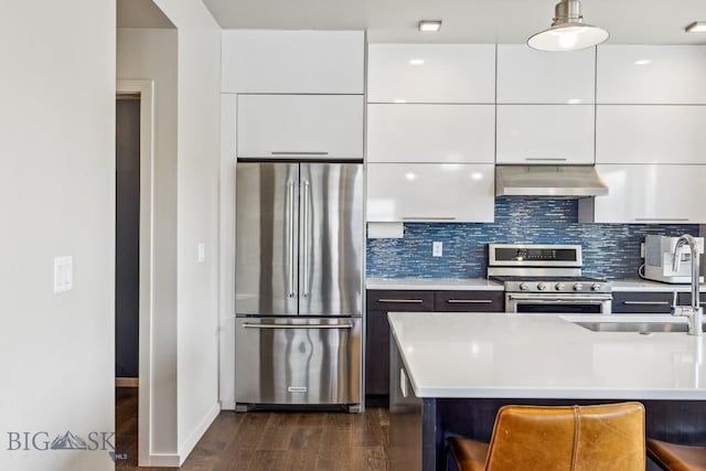 kitchen with appliances with stainless steel finishes, under cabinet range hood, modern cabinets, and a sink