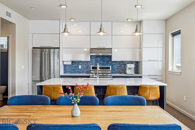 kitchen with appliances with stainless steel finishes, modern cabinets, a sink, and under cabinet range hood