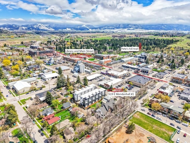 aerial view of a mountain backdrop
