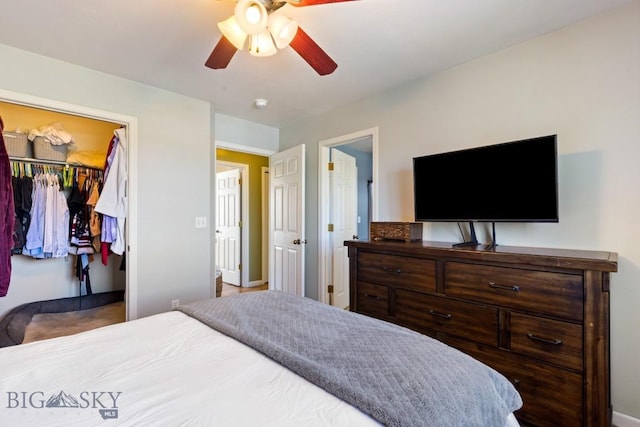 bedroom featuring a ceiling fan, a walk in closet, and a closet