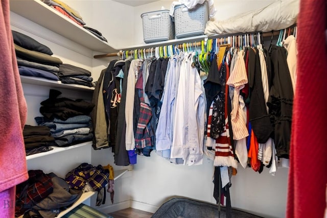 view of spacious closet