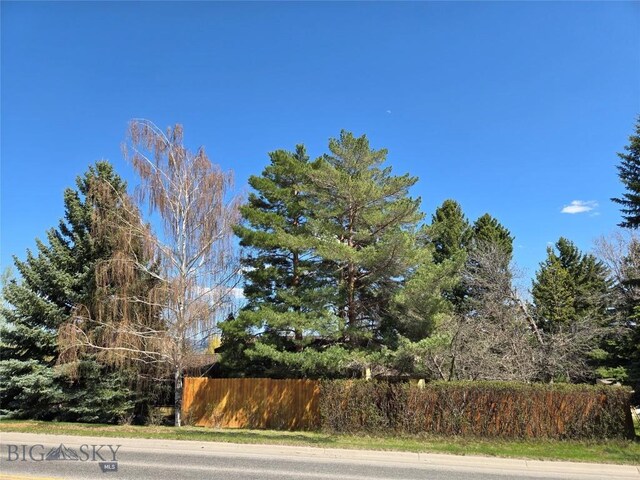 1104 N Spruce Dr, Bozeman, MT 59715 - view of asphalt road