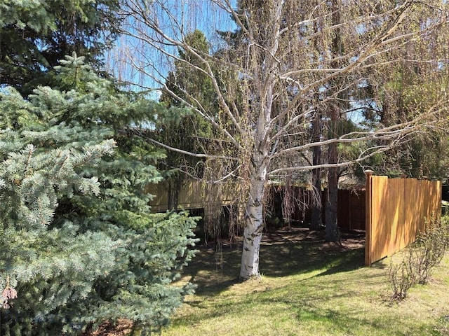 1104 N Spruce Dr, Bozeman, MT 59715 - view of yard