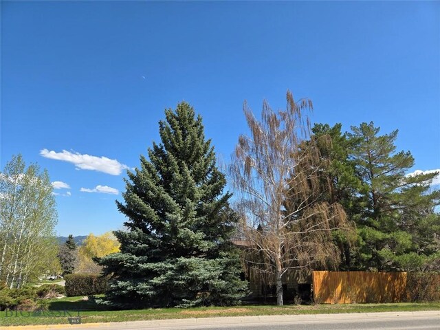 1104 N Spruce Dr, Bozeman, MT 59715 - view of yard with fence