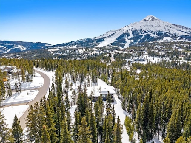 snowy aerial view featuring a mountain view and a forest view