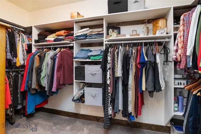 spacious closet featuring carpet