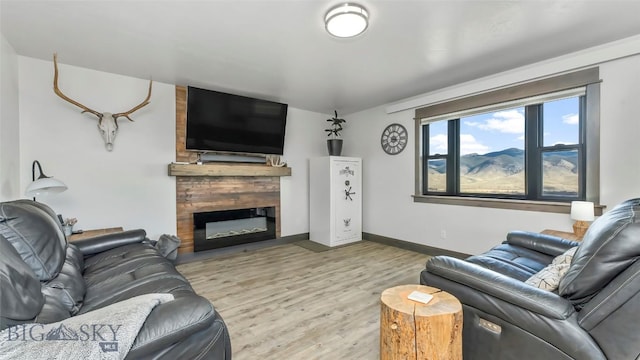 2200 Sugarloaf Mountain Rd, Glen, MT 59732 - living room featuring wood finished floors, baseboards, and a glass covered fireplace