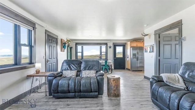 2200 Sugarloaf Mountain Rd, Glen, MT 59732 - living area with light wood-type flooring and baseboards