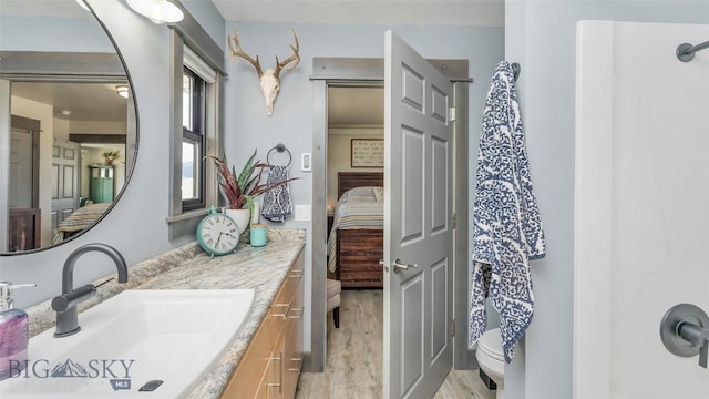 2200 Sugarloaf Mountain Rd, Glen, MT 59732 - ensuite bathroom with wood finished floors, vanity, and toilet