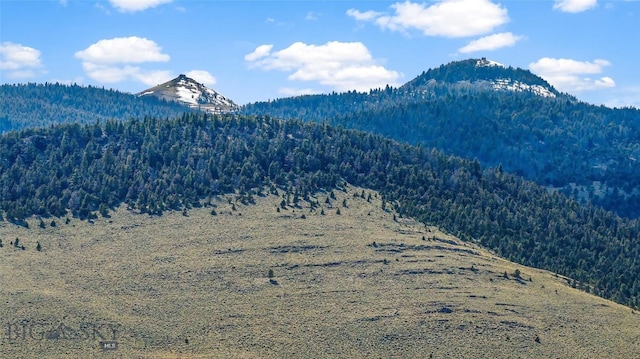 2200 Sugarloaf Mountain Rd, Glen, MT 59732 - view of mountain backdrop with a heavily wooded area