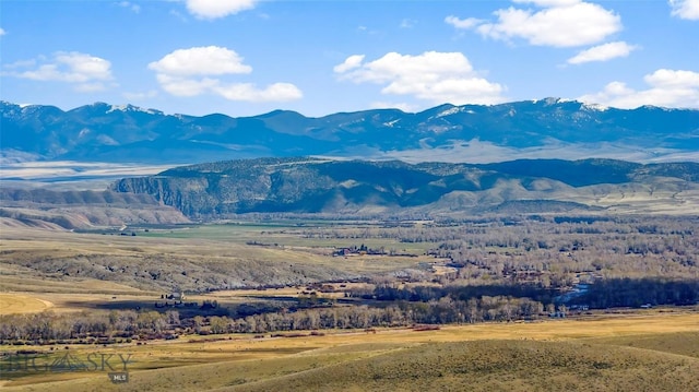 2200 Sugarloaf Mountain Rd, Glen, MT 59732 - view of mountain background