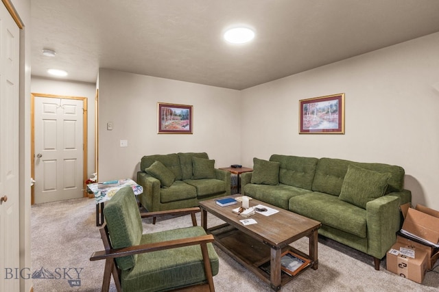 500/502 Idaho St, Belgrade, MT 59714 - living area featuring carpet