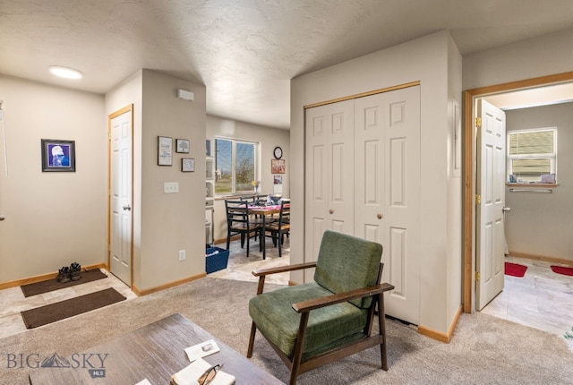 500/502 Idaho St, Belgrade, MT 59714 - living area with baseboards, light carpet, and a textured ceiling