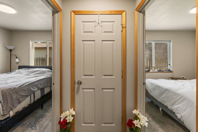 500/502 Idaho St, Belgrade, MT 59714 - view of carpeted bedroom