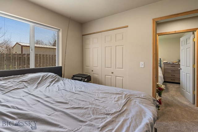 500/502 Idaho St, Belgrade, MT 59714 - carpeted bedroom featuring a closet