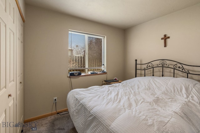 500/502 Idaho St, Belgrade, MT 59714 - bedroom with carpet, a closet, and baseboards