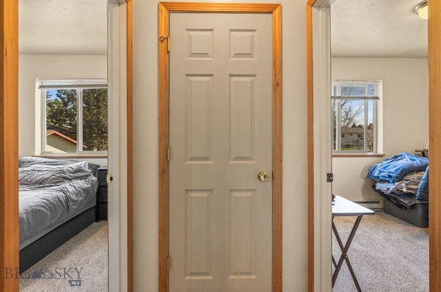 500/502 Idaho St, Belgrade, MT 59714 - hallway featuring carpet floors and baseboard heating
