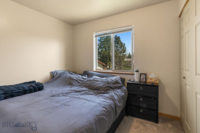 500/502 Idaho St, Belgrade, MT 59714 - carpeted bedroom with baseboards and a closet
