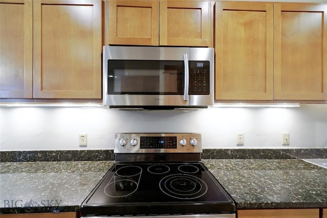 kitchen featuring stainless steel appliances and dark stone countertops