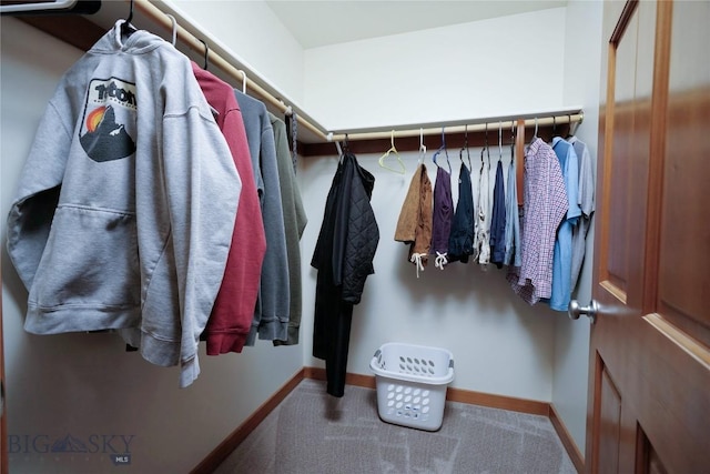 spacious closet with carpet