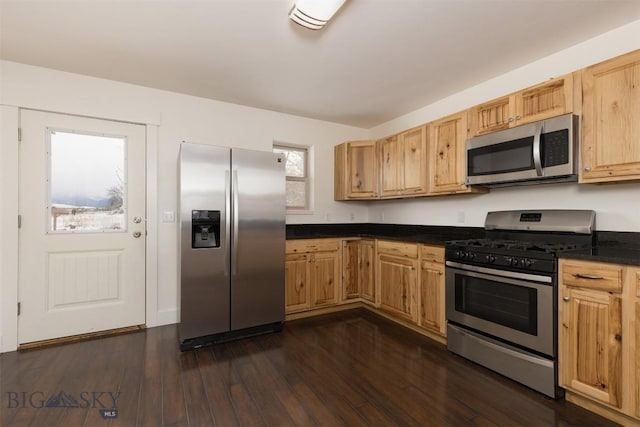 kitchen featuring stainless steel appliances, dark countertops, and dark wood-style flooring