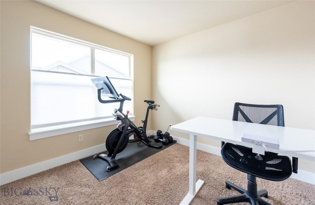 exercise area with carpet and baseboards