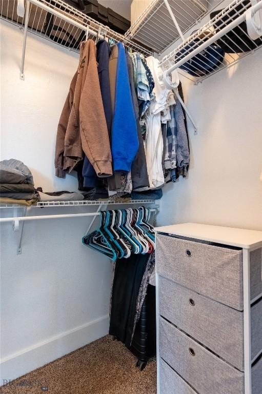 walk in closet featuring carpet flooring