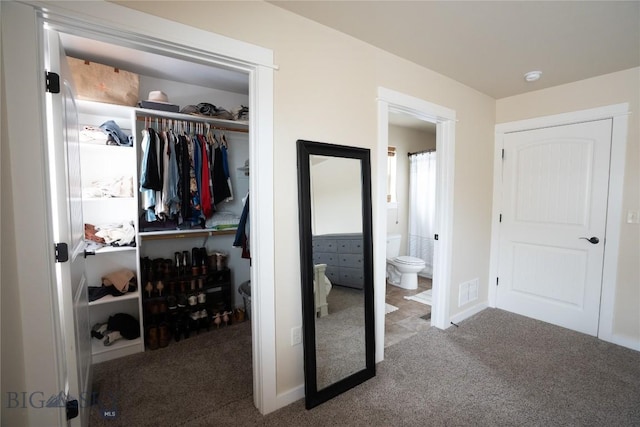 view of closet