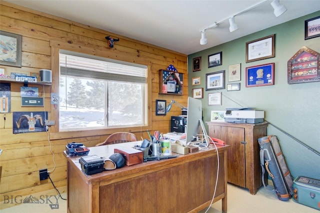 101 Deerfoot Trl, Ennis, MT 59729 - home office with track lighting and wood walls