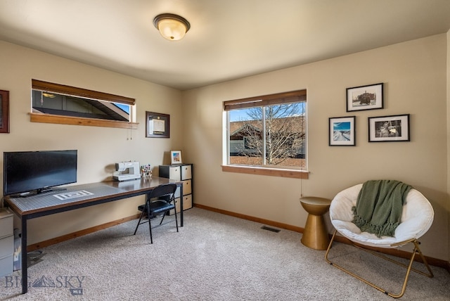 office space with carpet floors and baseboards