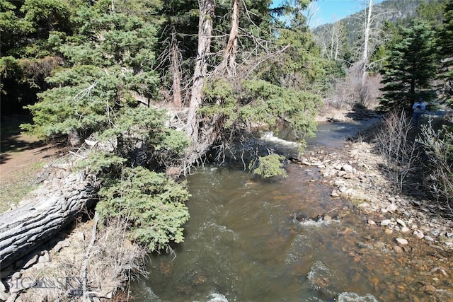 31 Basin Creek Rd, Boulder, MT 59631 - view of wooded area