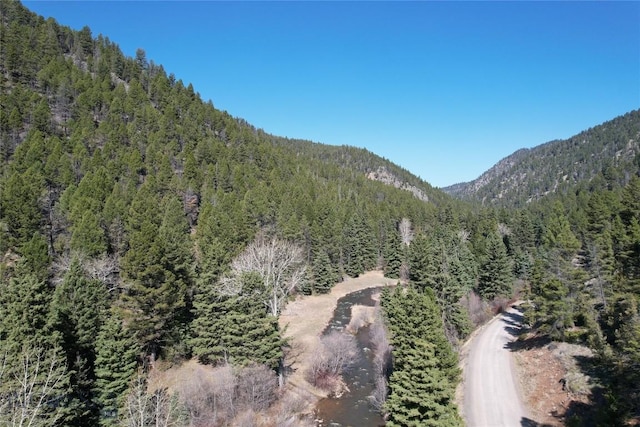 31 Basin Creek Rd, Boulder, MT 59631 - view of mountain backdrop featuring a forest