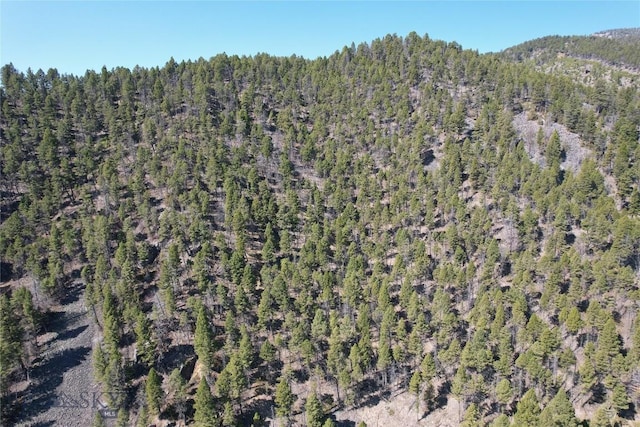 31 Basin Creek Rd, Boulder, MT 59631 - aerial view of property's location with a forest and a mountain backdrop