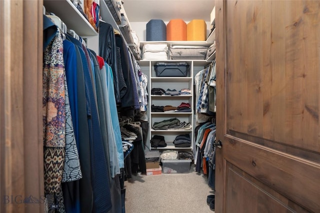 spacious closet featuring carpet flooring