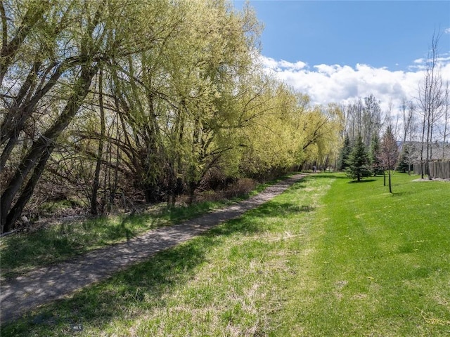 view of grassy yard