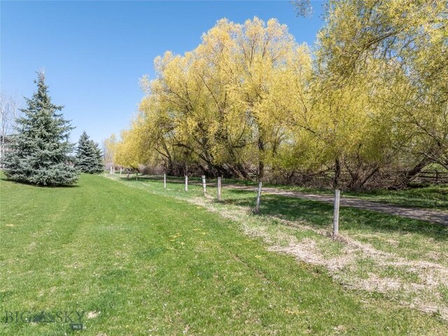 view of grassy yard