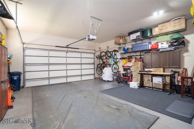 garage featuring a garage door opener