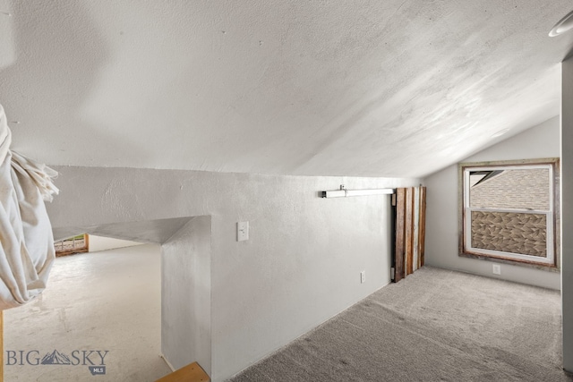 additional living space featuring lofted ceiling, a textured ceiling, and carpet