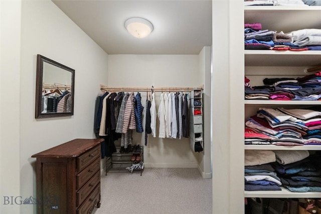 spacious closet with carpet floors
