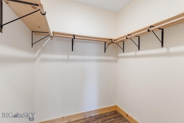 walk in closet with dark wood-type flooring